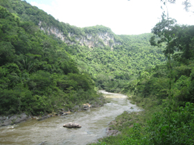 River In Belize